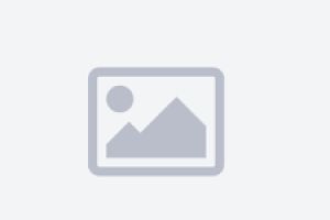 BRAVE ZA VRATA ZETOR dupla sifra